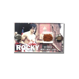 rocky-mighty-micks-gym